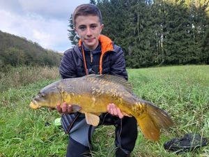 Mirror Carp