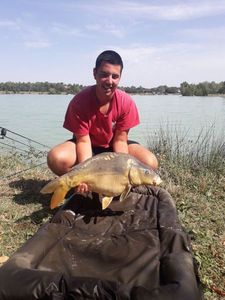 Mirror Carp