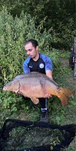 Mirror Carp