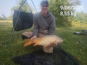 Mirror Carp