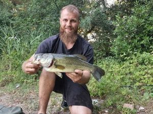Largemouth Bass