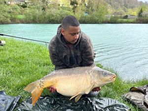Mirror Carp
