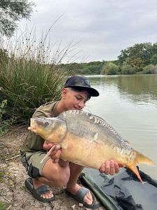 Mirror Carp