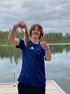 European Perch