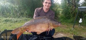 Mirror Carp