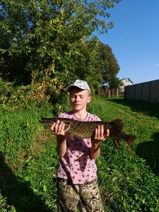 Northern Pike