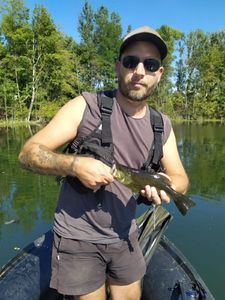 Largemouth Bass