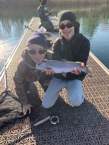Rainbow Trout