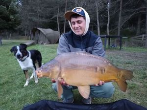 Mirror Carp