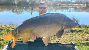 Mirror Carp