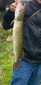 Northern Pike