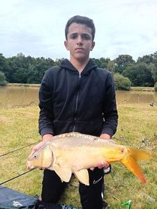 Mirror Carp