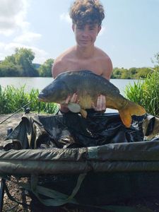 Mirror Carp