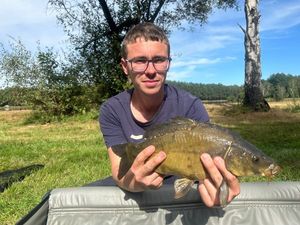 Mirror Carp