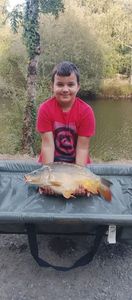 Mirror Carp