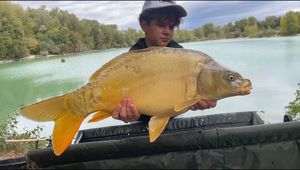 Mirror Carp