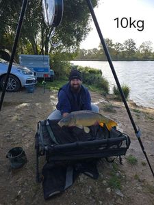 Common Carp