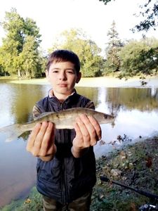 Zander