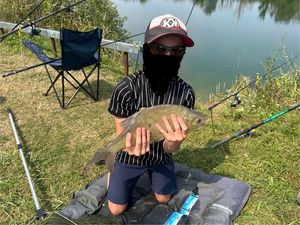 Common Bream