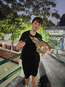 Mekong Giant Catfish