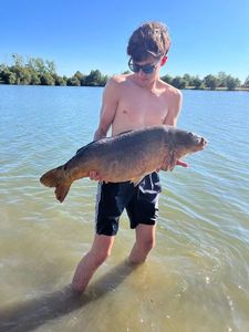Mirror Carp