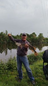 Northern Pike