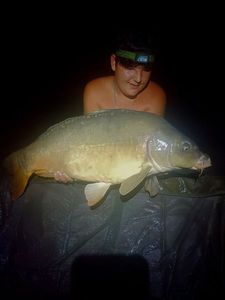 Mirror Carp