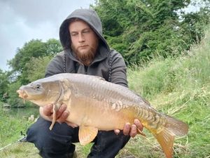 Mirror Carp