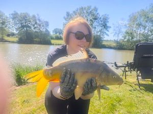 Mirror Carp
