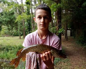 Northern Pike