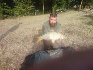 Common Bream