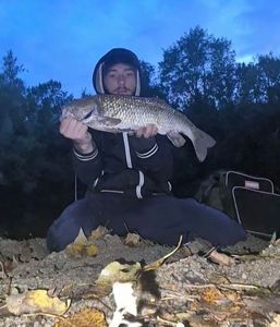 Chub