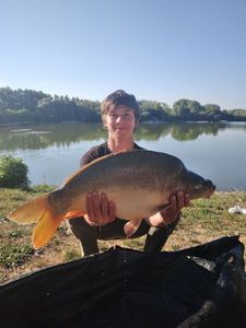Mirror Carp