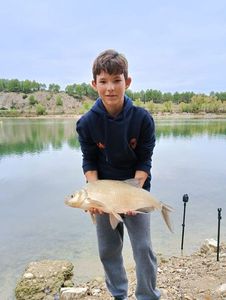 Common Bream