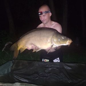 Mirror Carp