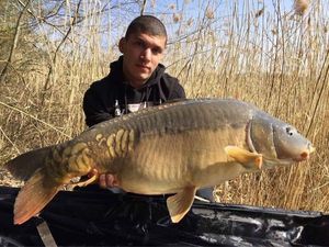 Mirror Carp