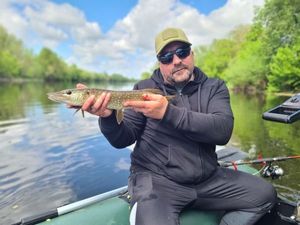 Northern Pike