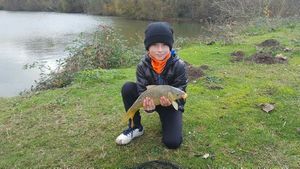 Common Carp