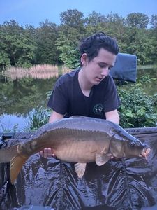 Mirror Carp