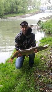 Northern Pike