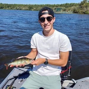 European Perch