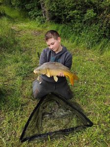 Mirror Carp