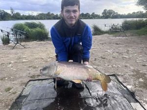 Mirror Carp