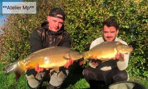Mirror Carp