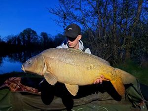 Mirror Carp