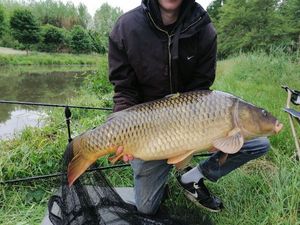 Common Carp złowiony przez Jeremy K