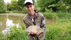Common Bream