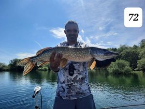 Northern Pike