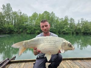 Koï Fish