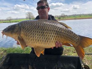 Common Carp